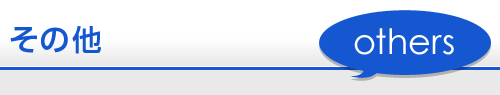 その他
