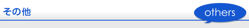 その他